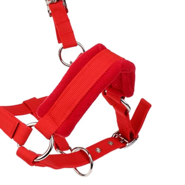 Collier/Cordeau/Sangle De Maintien Pour Cheval – Équitation Et Liberté – Taille Epi/Arabe – Rouge/Marine