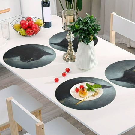 

Round Grid Placemat One Sizex1 Round Placemat PVC Plate Mat，15.4 Inch Non-Slip and Heat Resistant Table Placemat Dining Room Placemat Black Painting Cat