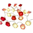 thumbnail image 2 of Valentines Heart String Lights, 4.92FT 10 LED Creatives LED Rose String Lights KTV Hotel Wedding Photography Room Decorative Lights, 2 of 6