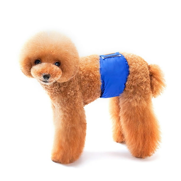 Dog wrap toy hotsell
