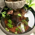 thumbnail image 5 of NOGIS 0.77lb Red Horticultural Lava Rocks for Plants, Succulents Cactus Bonsai Soil Volcanic Rocks for Aquarium Outdoor Decorative Stones for Craft Projects, Vase Fillers, 3mm-6mm, 5 of 6