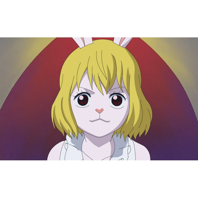 One Piece Bundle #34-#35 (Blu-ray + DVD) Crunchyroll, Action