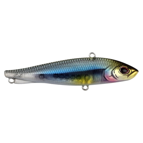 Berkley Ripfish, 7, Minnowsota