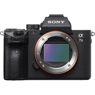 Sony Cyber-shot DSC-RX100 VII Digital Camera DSC-RX100M7 - Walmart.com