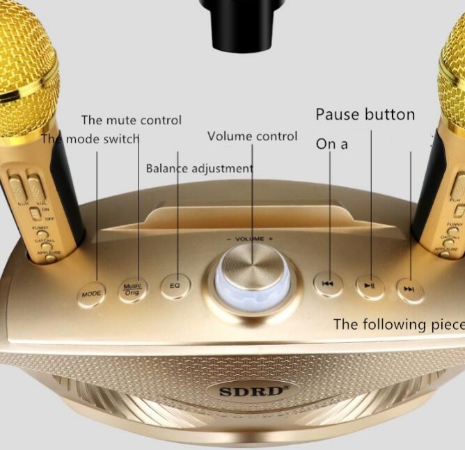 wireless microphone and speaker set