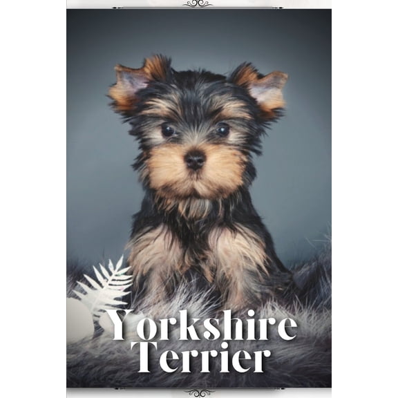 Yorkshire Terrier: Dog breed overview and guide, (Paperback)