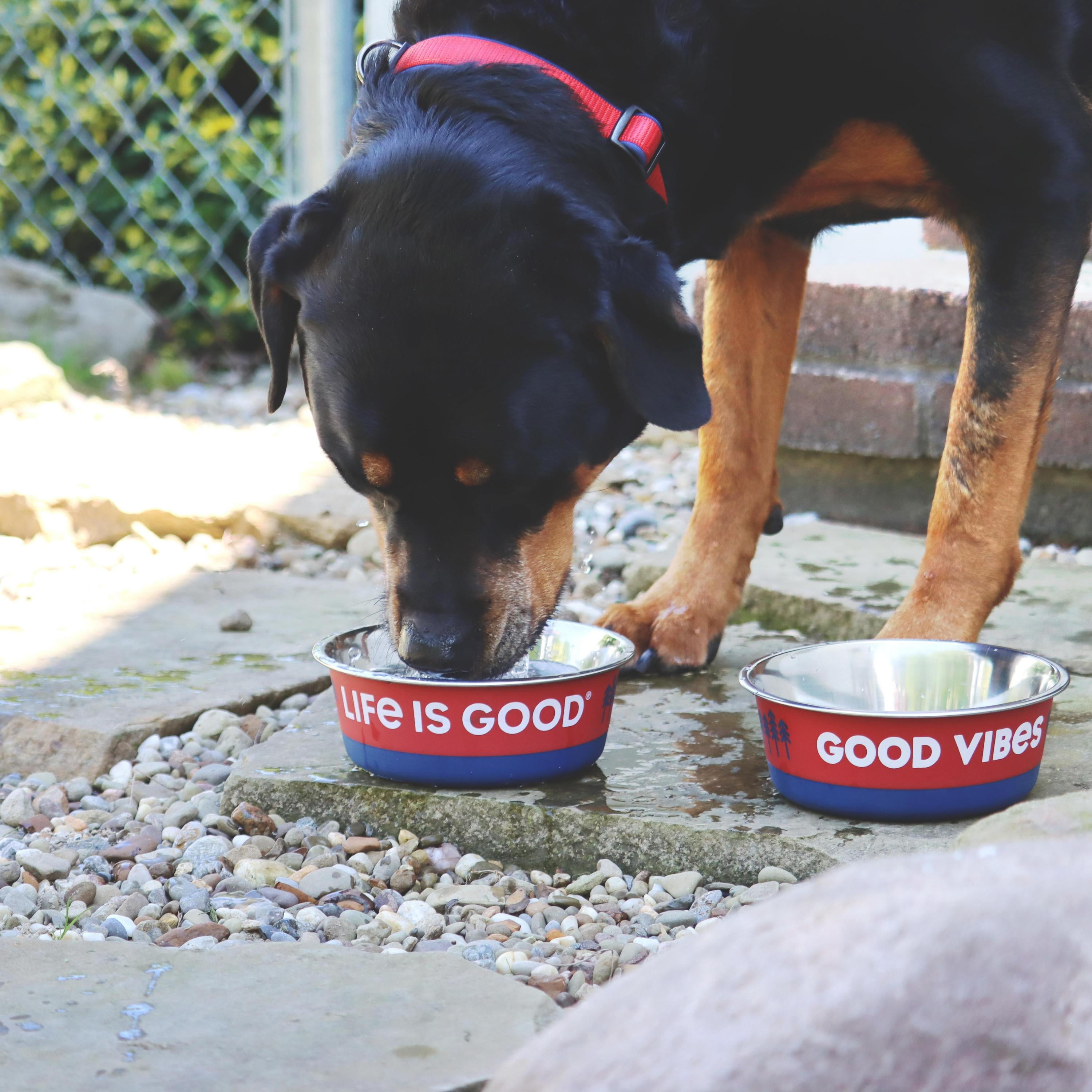 Life is Good® Stainless Pet Bowl, Red, 28 oz