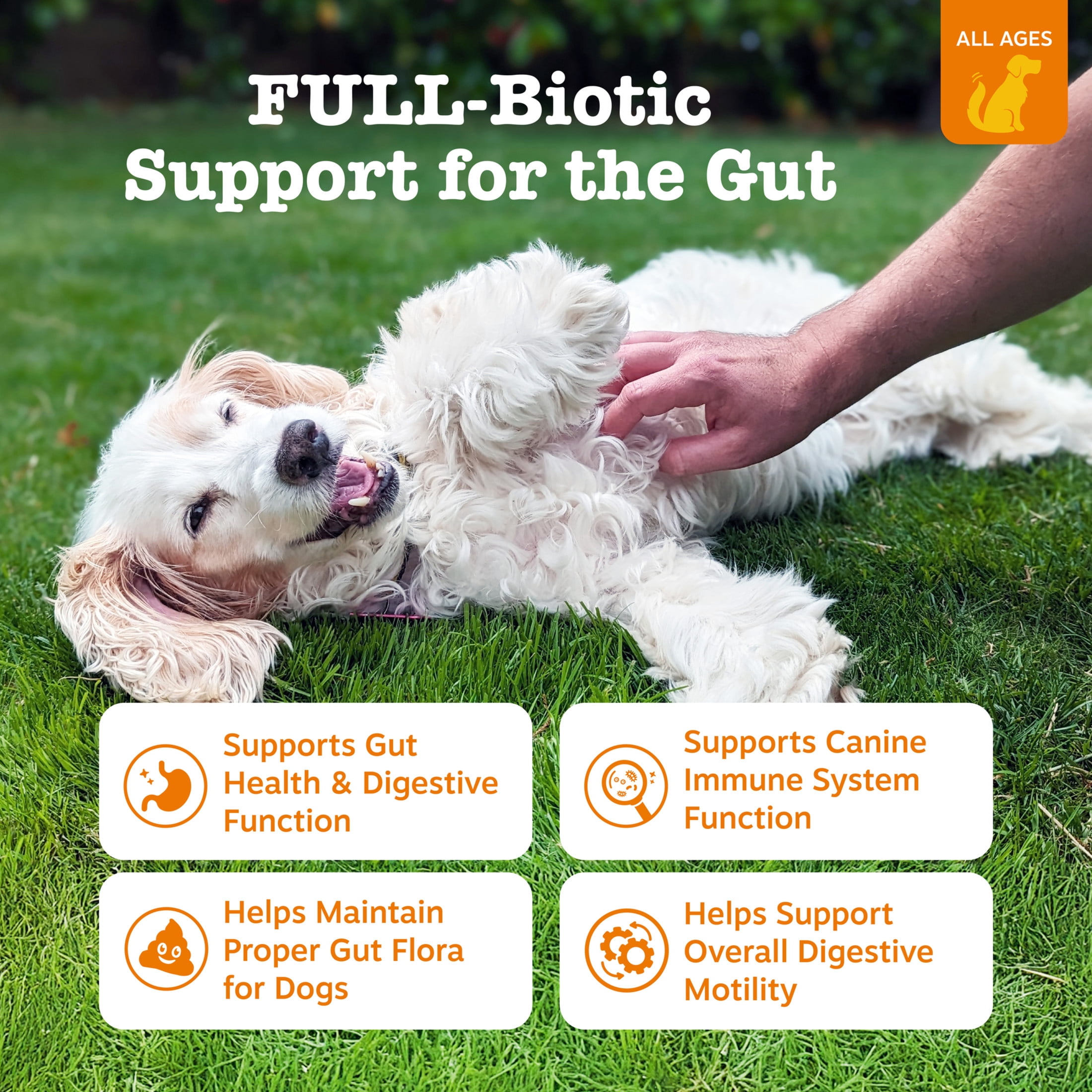 Zesty Paws Vet Strength Pre, Post & Probiotic Bites Chicken & Harvest Vegetables Flavor Dog Supplement, 60 Count
