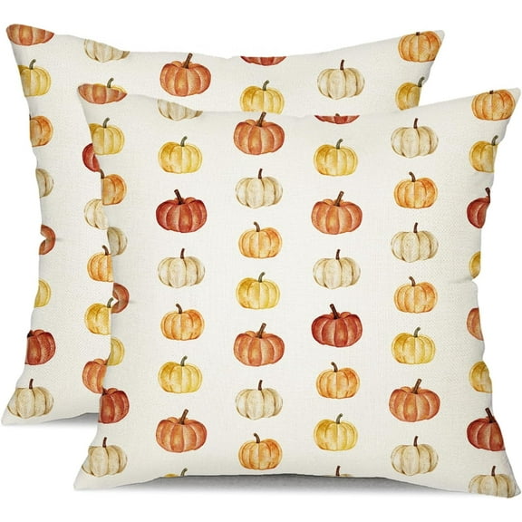 Fall Pillow Covers 18x18 inch Set of 2 Fall Decoration Pumpkin Decor White Autumn Outdoor Pillow Cover Thanksgiving Decoration for Home Couch TH-120B18