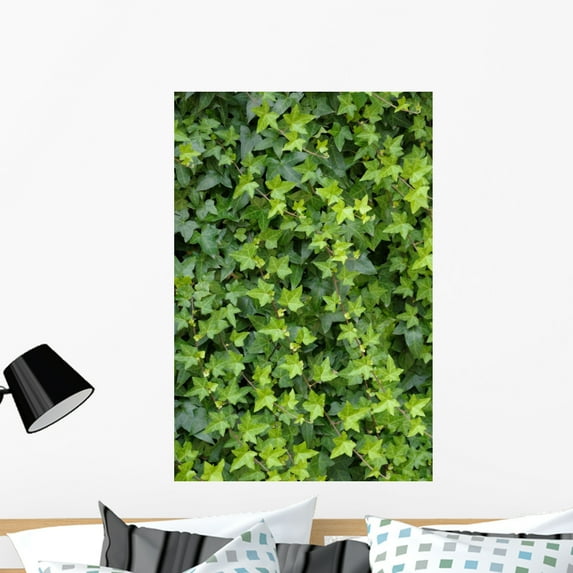 Ivy Foliage Park Wall Mural Decal Sticker, Wallmonkeys Peel & Stick Vinyl Graphic (36 in H x 24 in W)