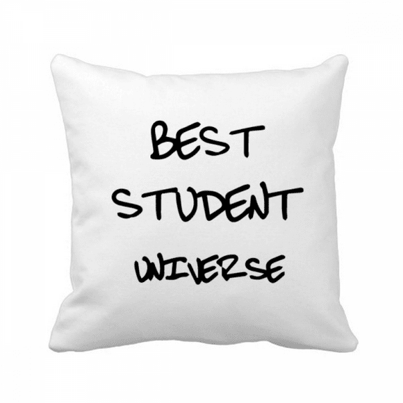 Best Student Universe Student Quote Throw Pillow Sleeping Sofa Cushion Cover