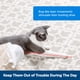 thumbnail image 2 of Juguete láser automático PetSafe Dancing Dot para gatos interactivo, 2 of 6