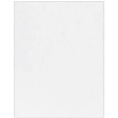 11 X 17 Cardstock - 11 x 17 Cardstock - 100lb. White (1000 Qty.)