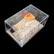 thumbnail image 5 of KAIYANG Paquete de 2 cuencos de cerámica para comida de reptiles, plato de alimentación redondo para gusanos de reptiles, color SM 1, 5 of 5