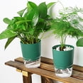 thumbnail image 4 of Plants Basket Durable Wear-Resistant Practical Green Plant Flowerpot, 4 of 4