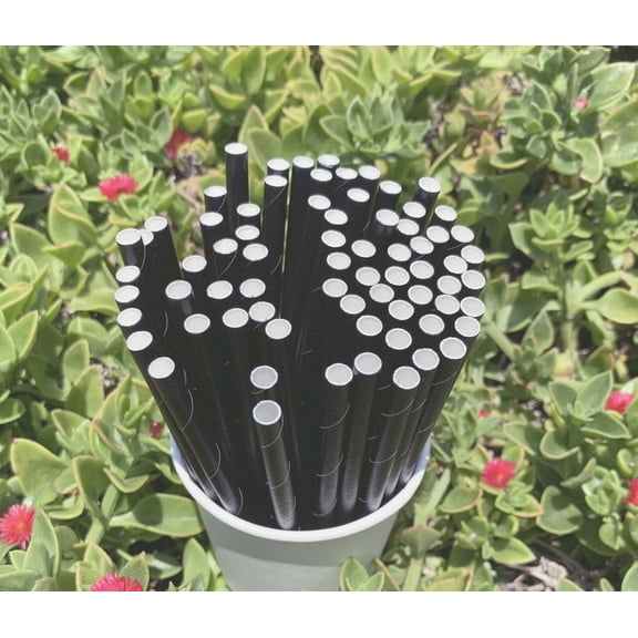 Go-Green 200pcs Black Paper Straws 7.75'' 8mm Co-Friendly Biodegradable Drinking Straws Bulk for Party Supplies, Bridal/Baby Shower, Birthday, Mixed Drinks, Weddings, Restaurant, Food Service
