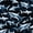 Black Blue, variant on jejeloiu Summer Party Shark Bedding,Beach Chair Coconut Print Duvet Cover Full For Boys,Bright Blue,Reversible,3-Piece,1 Duvet Cover and 2 Pillowcases
