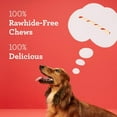 thumbnail image 4 of DreamBone Twist Sticks Made With Real Chicken, 50 Count, Rawhide-Free, Twist-Shaped Chews, For All Dogs, 4 of 6