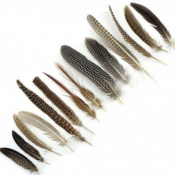 Guinea Feather Rounds - Natural