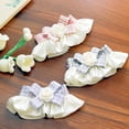 thumbnail image 4 of CSChome Pet Collar Saliva Towel Exquisite Three-Dimensional Flowers Ruffled Edge Dog Bowknot Neck Scarf Photoshoot, 4 of 7