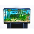 thumbnail image 4 of Fritz Aquatics 805003 8 oz Aquarium Water Clarifier, 4 of 6