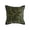 Green, variant on Halloween Throw Pillow Covers Green Black Leopard Stripe Decorative Cushion Covers Soft Sofa Couch Bed Farmhouses Home Decor 18x18 Inch