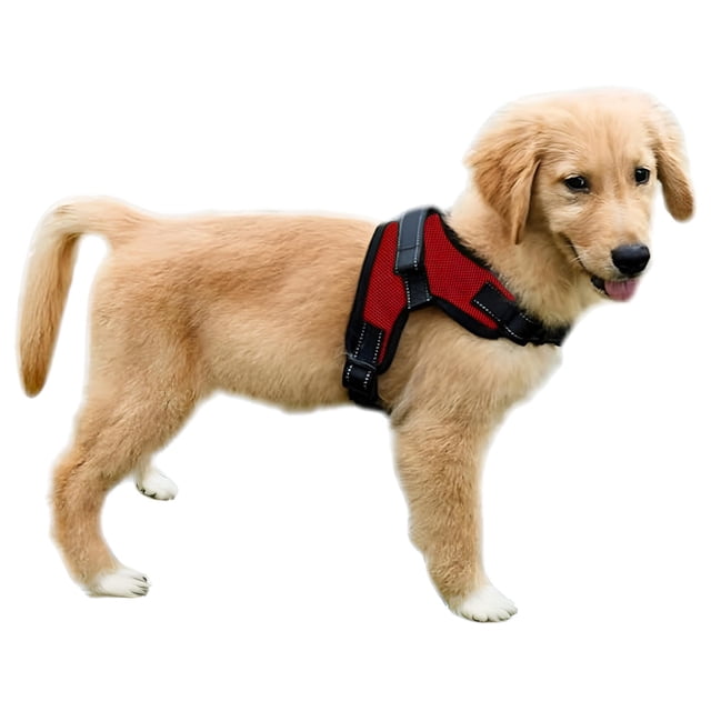Arnés para perros Copatchy sin tirones, reflectante, ajustable, rojo, XS