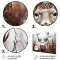 thumbnail image 3 of Designart "Monochrome Photography of Deer II" Animals Metal Art Living Room, 3 of 5