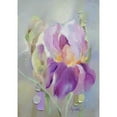 thumbnail image 3 of Zareckaya, Tatiana 14x18 Black Modern Framed Museum Art Print Titled - Pink Iris, 3 of 5