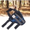FCDog Rear Leg Hock Brace, Prevents Licking Provides Stability Dog