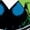 BLACK, variant on Marvel She Hulk - Walters - Juniors Cropped Graphic T-Shirt