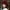 Wine Red, variant on CKLC Faux Fur Trimmed Winter Fashion Hat for Women Fashionable Outdoor Warm Hats Christmas Gift(White）