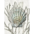 thumbnail image 2 of Kelly, Caroline 25x32 Black Ornate Wood Framed with Double Matting Museum Art Print Titled - Shell Coral Silver IV, 2 of 4