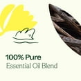 thumbnail image 5 of Plant Therapy Love Vanilla Essential Oil Blend 10 mL (1/3 oz) 100% Pure, Undiluted, Natural Aromatherpay, 5 of 9
