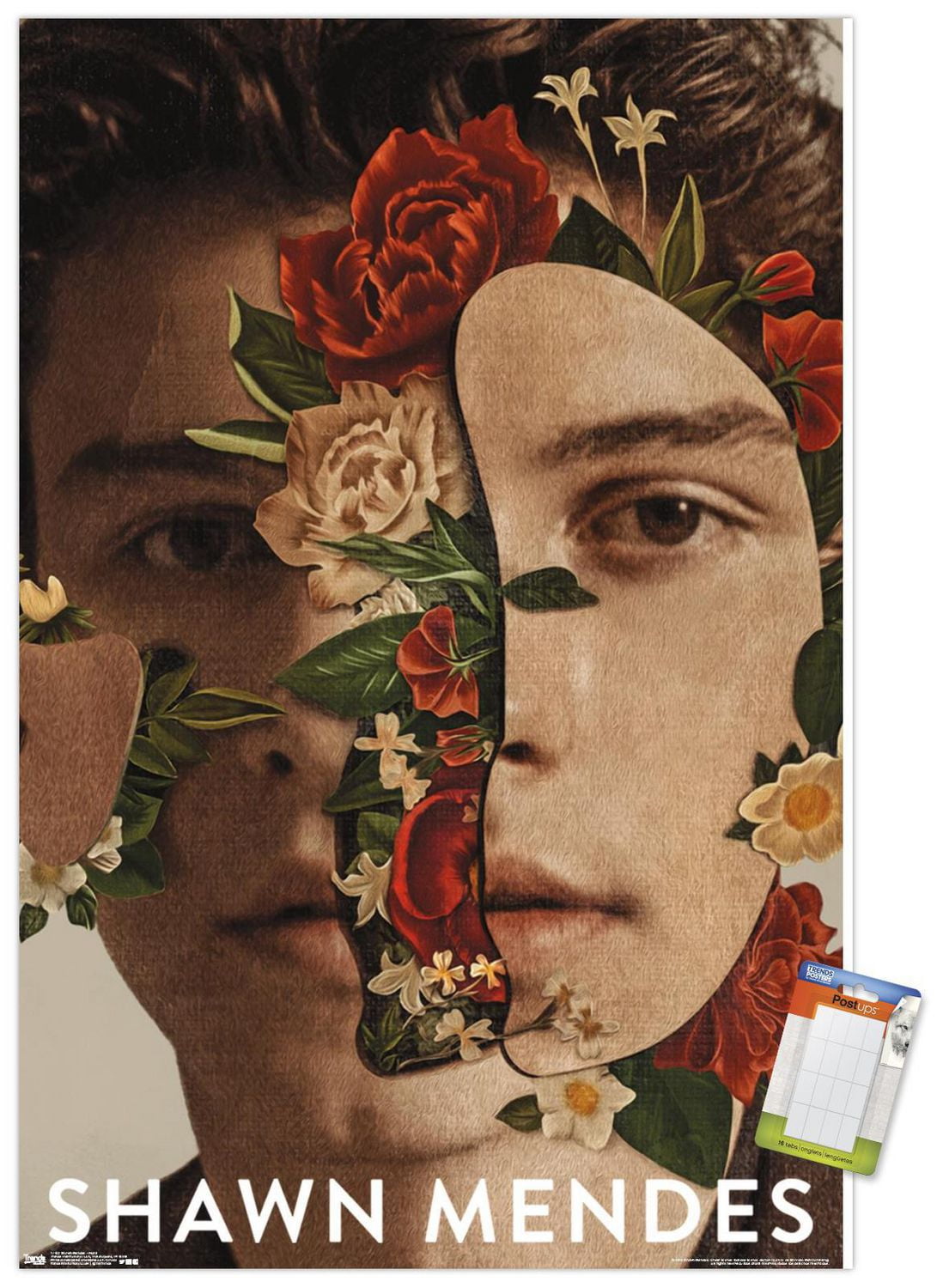 Shawn Mendes - Floral Wall Poster, 22.375" x 34"