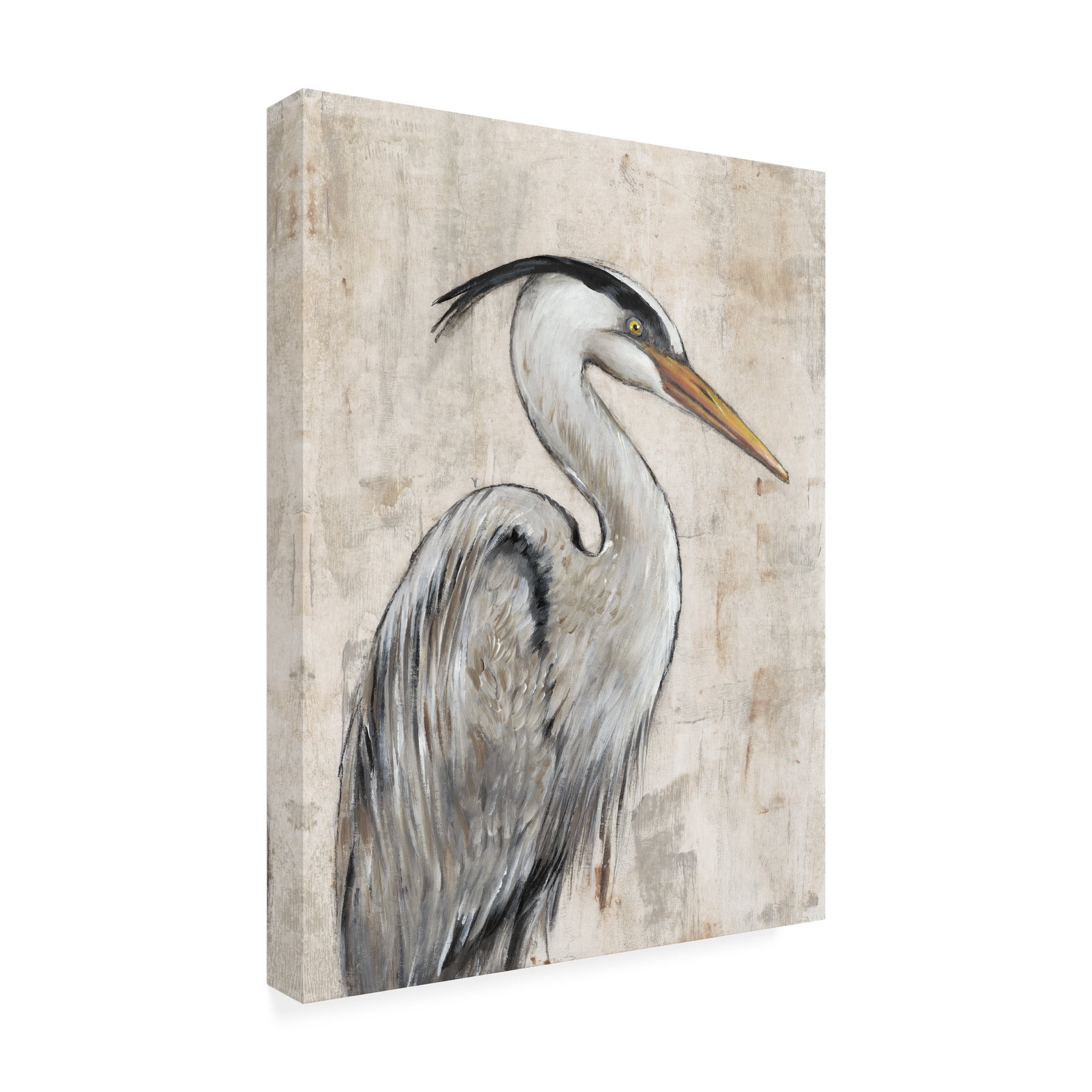 Tim O'Toole 'Grey Heron I' Canvas Art