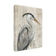 thumbnail image 2 of Tim O'Toole 'Grey Heron I' Canvas Art, 2 of 3