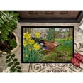 thumbnail image 3 of Carolines Treasures ASA2176JMAT Jay Door Mat Indoor Rug or Outdoor Welcome Mat 24x36 Doormat  36"L x 24"W multicolor, 3 of 4