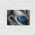 thumbnail image 3 of Luxe Metal Art 'Tiger Eye' by Jan Henderson, Metal Wall Art, 16"x12", 3 of 9