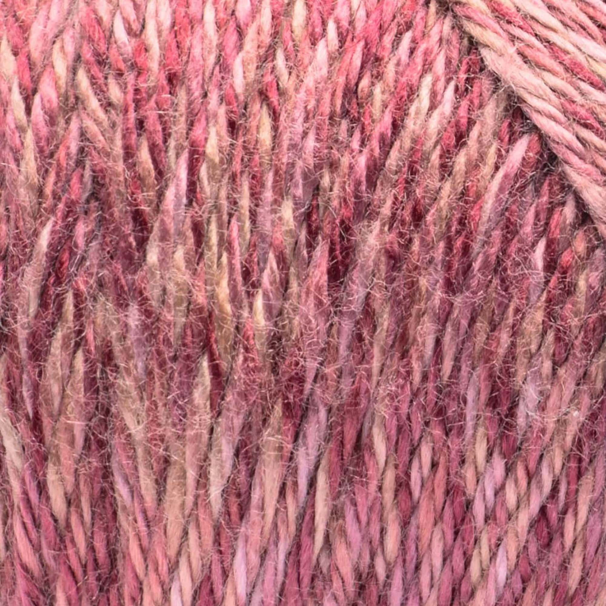 Caron® Simply Soft Sunkissed™ #4 Worsted (Medium) Acrylic Yarn, Plum Tonal 5oz/141g 248 Yards (3 Pack)