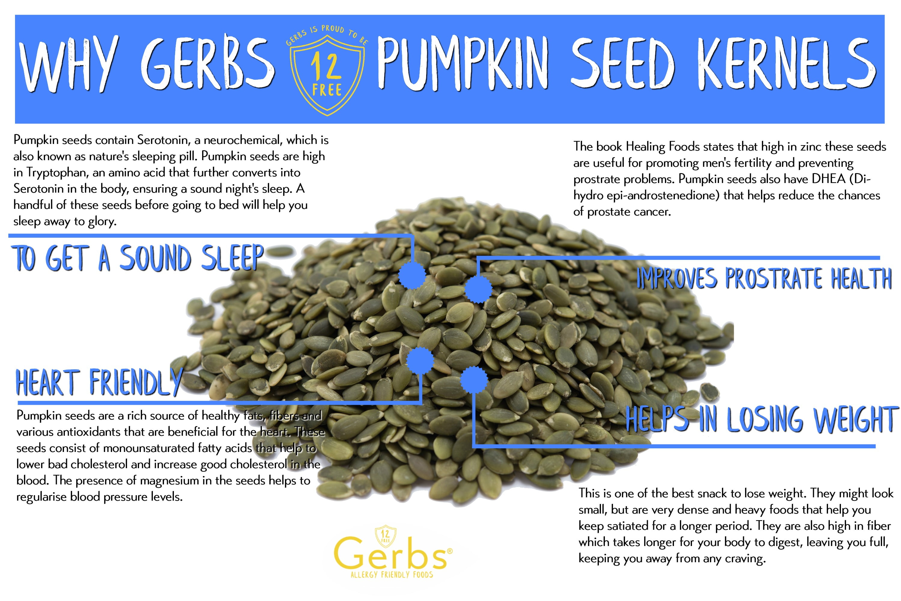 Raw Pumpkin Seed Kernels by Gerbs - 14OZ. - Top 14 Food Allergen Free & Non GMO - Vegan & Kosher - Hulled