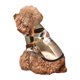 thumbnail image 5 of Fotbe Cute Alpaca in Daze Sudadera con Estampado para Perros Pequeños – Suéter con Capucha para Mascotas, Tela Suave de Forro Polar con Bolsillo-XX-Large, 5 of 7