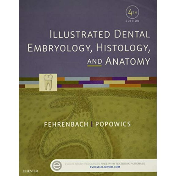 Pre-Owned Illustrated Dental Embryology, Histology, and Anatomy, 4e, 9781455776856, 1455776858, Paperback, 4 edition