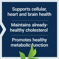 thumbnail image 4 of Life Extension Decaffeinated Mega Green Tea Extract – Polyphenol-Rich, Cell Health, Heart Health, Brain Health, Antioxidant Protection – Non-GMO, Gluten-Free, Vegetarian – 100 Capsules, 4 of 10