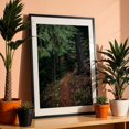thumbnail image 3 of Fall Trail - Oregon Photography Forest Nature Woodland Autumn Wilderness Scenic Landscape Black Framed Wall Art Print 20 x 30 inches, 3 of 8