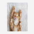thumbnail image 2 of Couverture Jetée Grande, Enfants Adultes Microfibre Moelleuse Douce Chaude Légère 3D Chat, 2 of 7