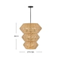 thumbnail image 3 of 40388BLK-CML Hinkley Lighting Luca - 50W 10 LED Double Extra Large Chandelier In Coastal Style-31.25 Inhces Tall and 27.75 Inches Wide-Black/Camel, 3 of 13
