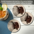 thumbnail image 4 of Thirstystone Buffalo Scene 4-Pack Round Absorbent Stone Coasters, 4 of 7