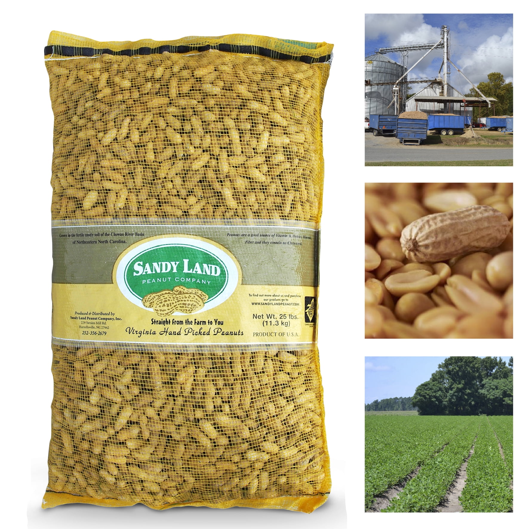 Sandy Land Peanuts - 25 Pounds