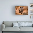 thumbnail image 2 of Trademark Fine Art Justus Vermaak Rhino Learning To Fly Canvas Wall Art - 12x19, 2 of 5